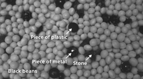 Foreign Material Inspection under SWIR condtions